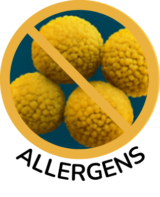No Allergens icon