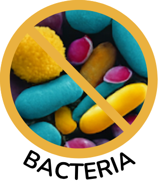 No bacteria icon