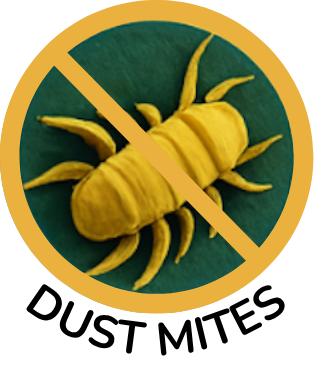 No dust mites icon